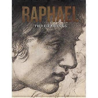 Raphael: De tekeningen