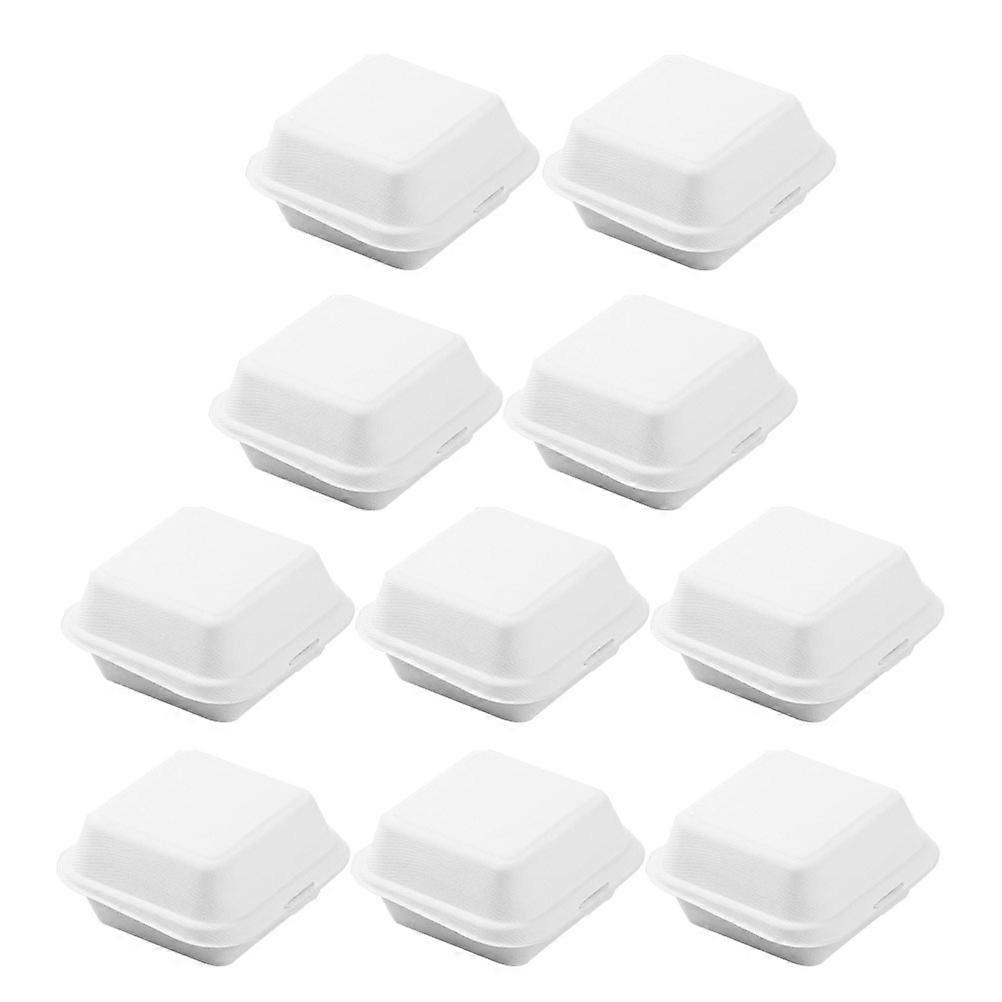 Paper Pulp Takeout for Wrapping 20Pcs