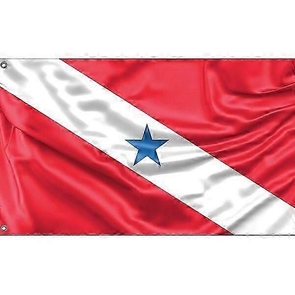 Para, Brazil Flag L0338