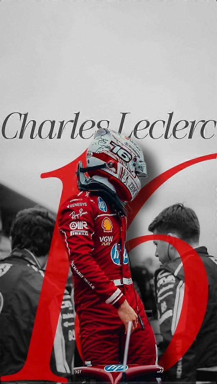 Pohlcující puzzle Charles Leclerc DS-042