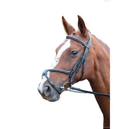 Avignon Grackle Leder Pferdebridle