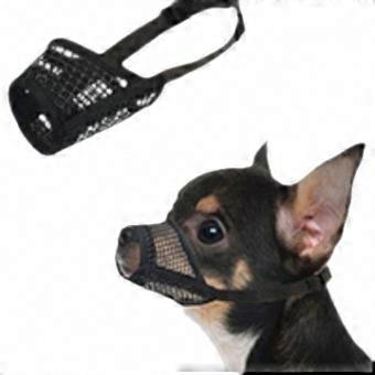 Anti-Biting Mesh Dog Muzzle for Short Snout, Small & Medium Brachycephalic Dogs - Breathable Design