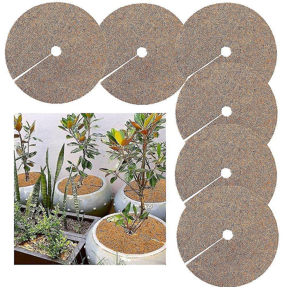 Plant Pot Coconut Palm Flat Pad Protects Plant Roots From Freezing Moisturizing 6pcs