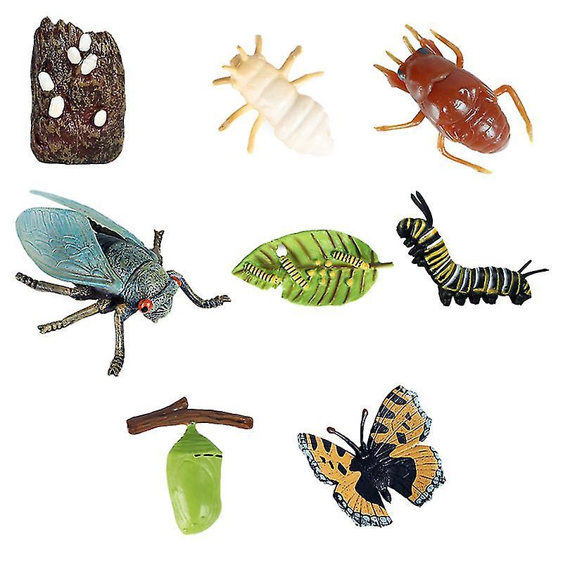 8.5X7cm Assorted Color Toy Playsets 8pcs Simulation Insect Growth Cycle Play Educational Insect Disp