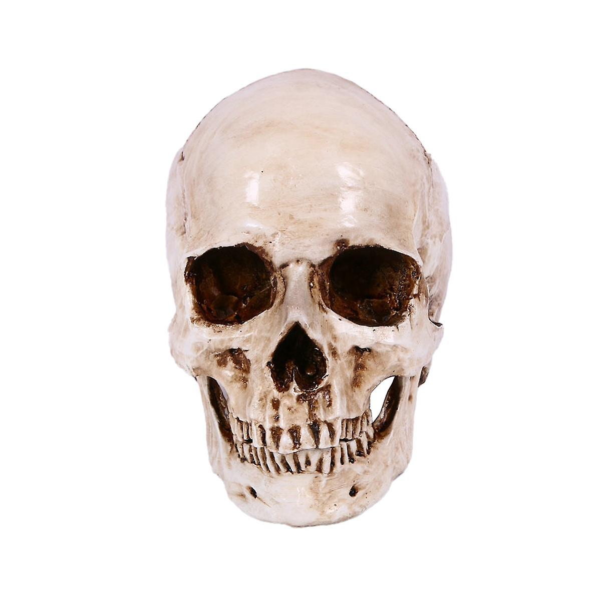 Skull Decor Prop Skeleton Head 1:1 Model Halloween Style Haunted House Party Home Decoration Festiv