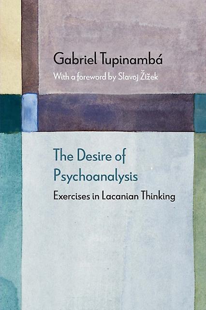 The Desire Of Psychoanalysis by Gabriel Tupinamba Paperback Book