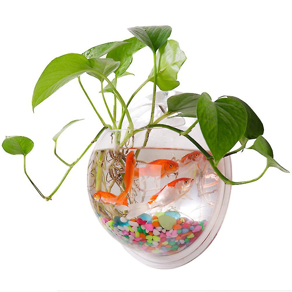 Acrylic wall-mounted aquarium, decorative hanging container