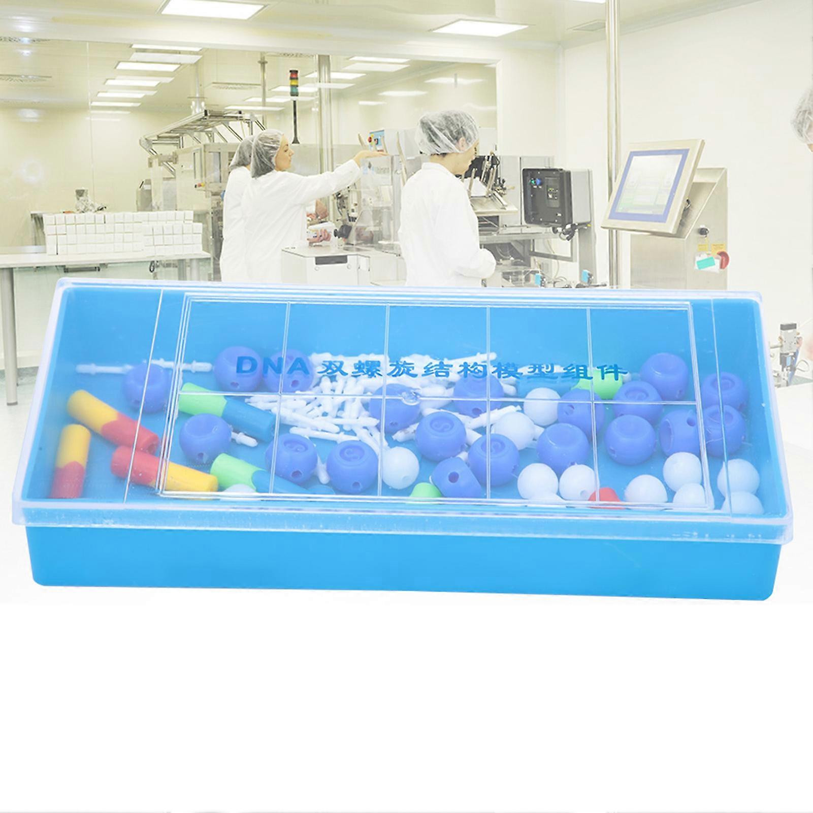 Double Helix DNA Model Teaching Aid PVC 10 Base Pairs 360° Rotation