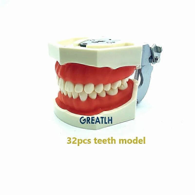 歯科診療ゴーストヘッドモデルシリコンマスク取り外し可能な歯32個28個歯の交換