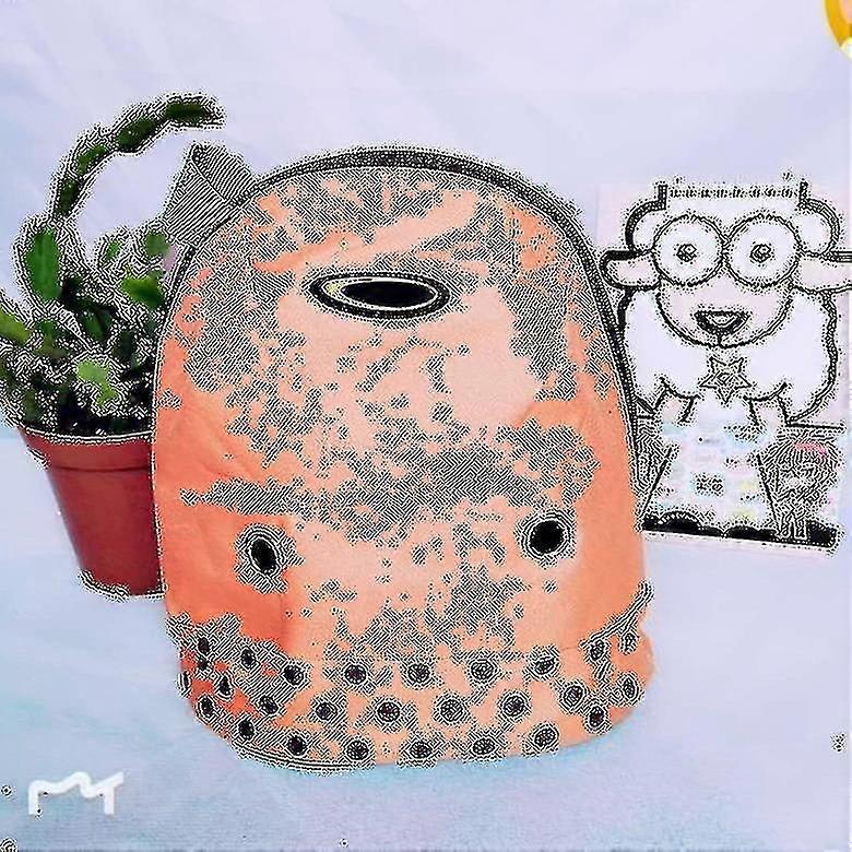 Pet Hamster Rabbit Squirrel Out Carrying Bag(orange)