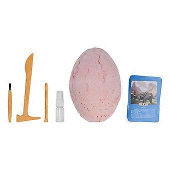 Souptoys Kit di scavo dell'uovo di dinosauro Giocattolo di scavo dell'uovo per bambini Modelli di dinosauro luminosi rispettosi dell'ambiente con schede informative