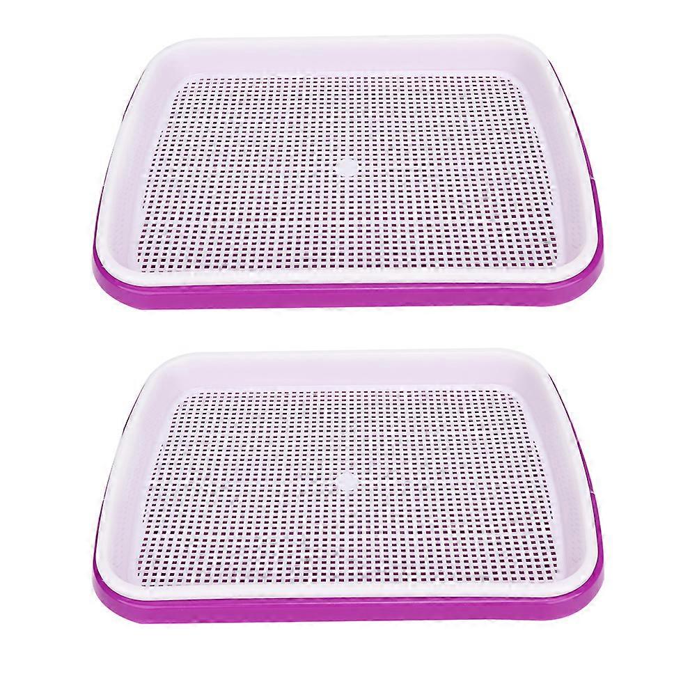 Hydroponics Tray, Flower, Seed Germination, Seedling, Nursery Pot