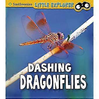 Dashing Dragonflies