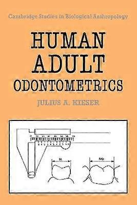 Human Adult Odontometrics