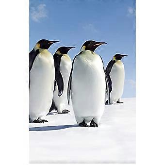 Pingviinien tyhjä päiväkirja