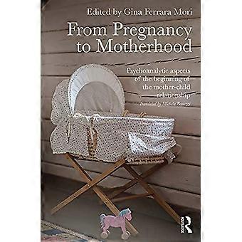 Da Gravidez à Maternidade: Aspectos Psicanalíticos do Início da Maternidade - Taylor & Francis Ltd - Brochura - livro em inglês