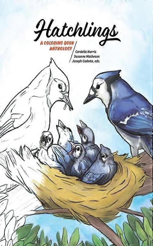 Hatchlings A Coloring Book Anthology
