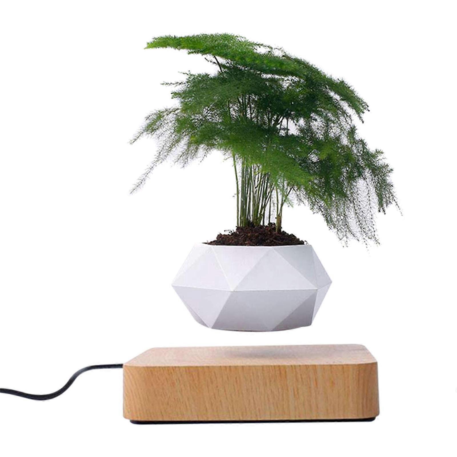 Levitating Air Bonsai Pot Rotation Flower Pot Planters Magnetic Levitation Suspension Floating Pot