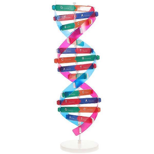 Présentoir d’ADN à double hélice modèle de gènes humains d’aide à l’enseignement biologique de modèle d’auto-assemblage