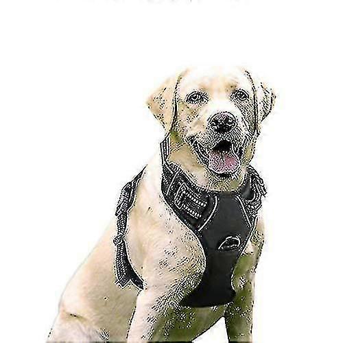 Rabbitgoo Dog Harness, No-pull Pet Harness With 2 Leash Clips, Adjustable Soft Padded Dog Vest