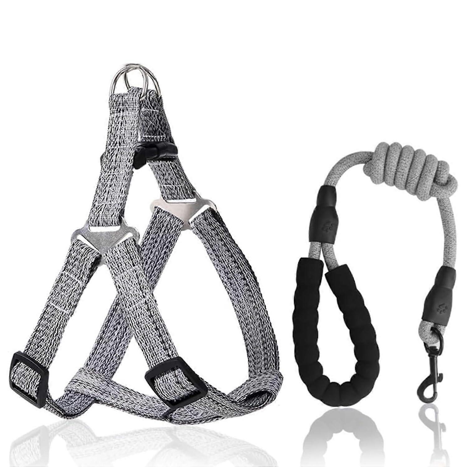 Dog Harness and Leash Set, Adjustable No Pull Soft Mesh Vest for Small Medium Large Dogs, Gray, Size S
