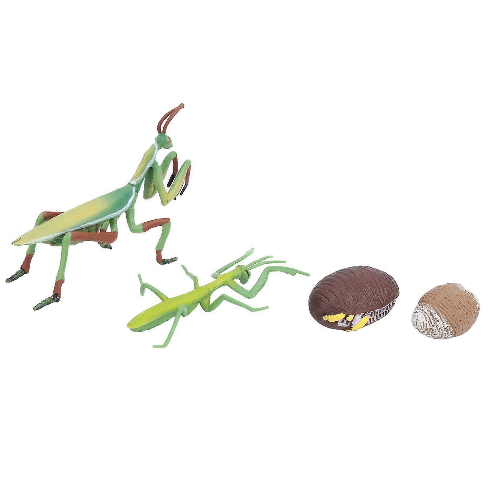 Growth Cycle Insect Toy for Kids, Educational Safe Plastic Cognitive Learning Toy, Ideal for Storytelling and Display