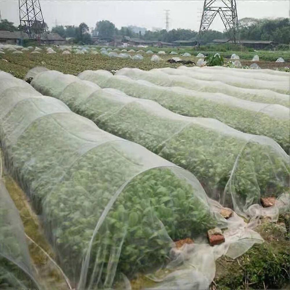 Plant Insect Proof Net Insect Proof Cover Dust Proof Nylon Net. Hortaliças Estufas Anti-bird Net Jardinagem Pomar Net