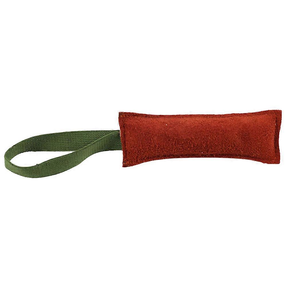 Durable Interactive Dog Chew Molar Stick for Puppy Teeth Grinding – Safe Indoor Bite Resistant Chew Toy to Reduce Boredom and Destructive Behavior