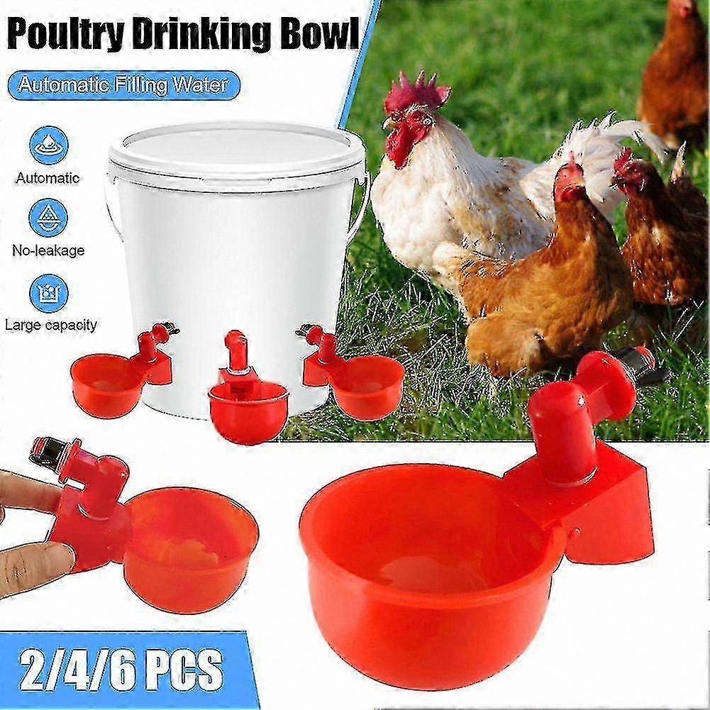 Poultry Drinking System for Chickens, Ducks, Geese, Turkeys, and Quails - Automatic Water Feeder Bowl Kit for Farm Use