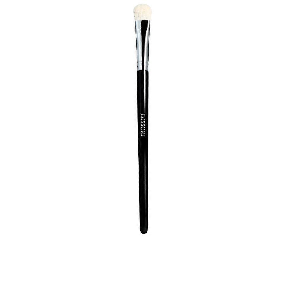 Smoky Shadow Brush LUSSONI PRO #478 1 u
