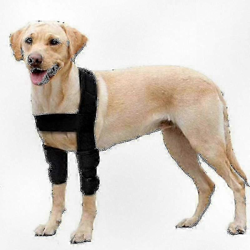 Protective Elbow Pads for Dogs with Joint Support and Hygroma Cushioning for Canine Comfort and Mobility Enhancement