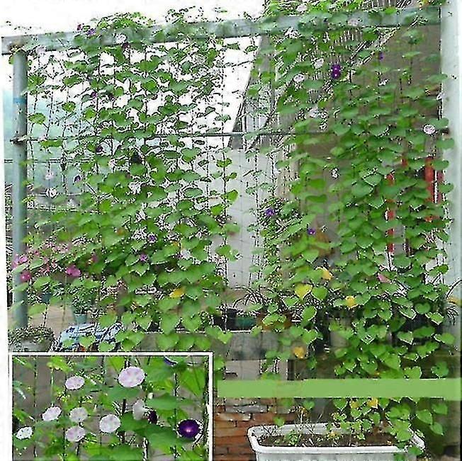 Trellis netting for klatring hage planter 0.9m * 1.8m