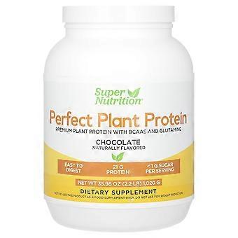 Súper Nutrición, Proteína Vegetal Perfecta con Aislado de Proteína de Guisante, BCAA, Semilla de Arándano Rojo, Semilla de Chía, una