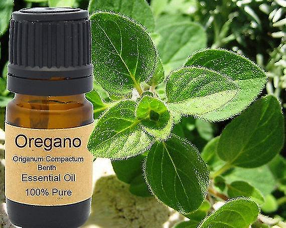 Oregano Essential Oil 15ml