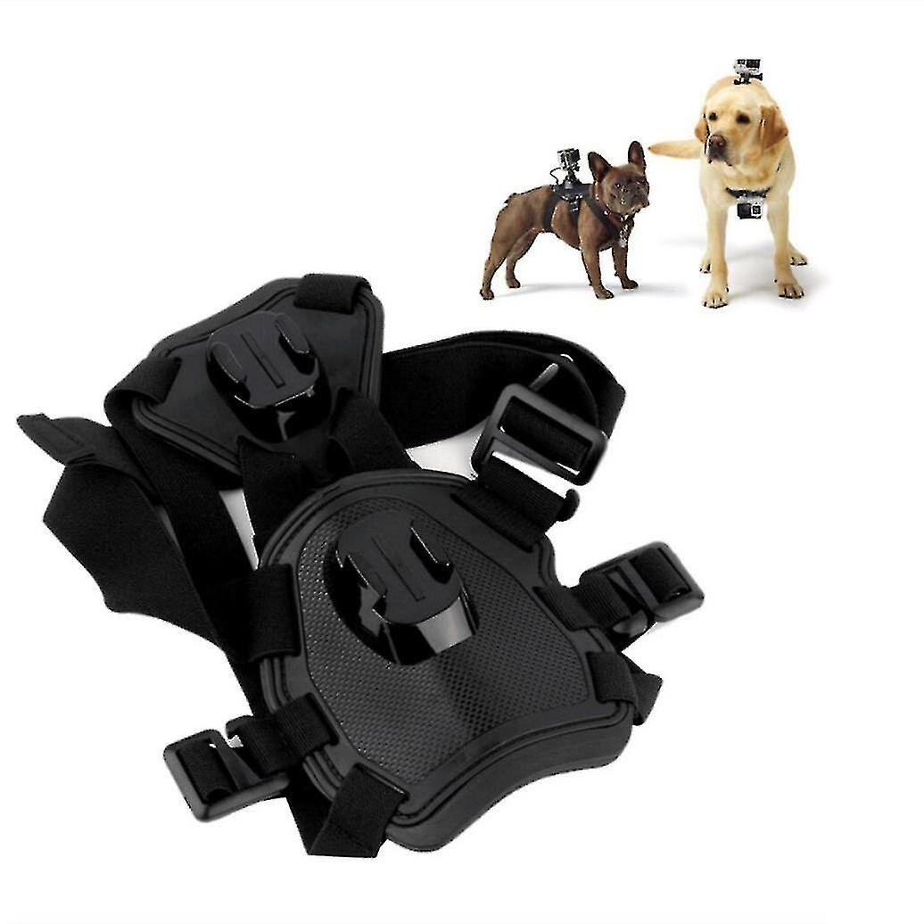 Adjustable Elastic Pet Harness With Back Mount Fetch