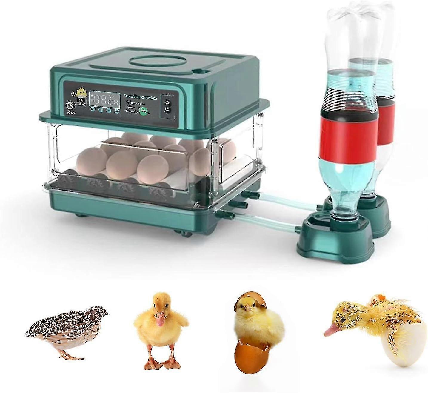 12-24 حاضنة البيض حاضنة دواجن رقمية أوتوماتيكية بالكامل حاضن كتكوت مع التحكم التلقائي في درجة الحرارة والرطوبة لدجاج بطة السمان Goos