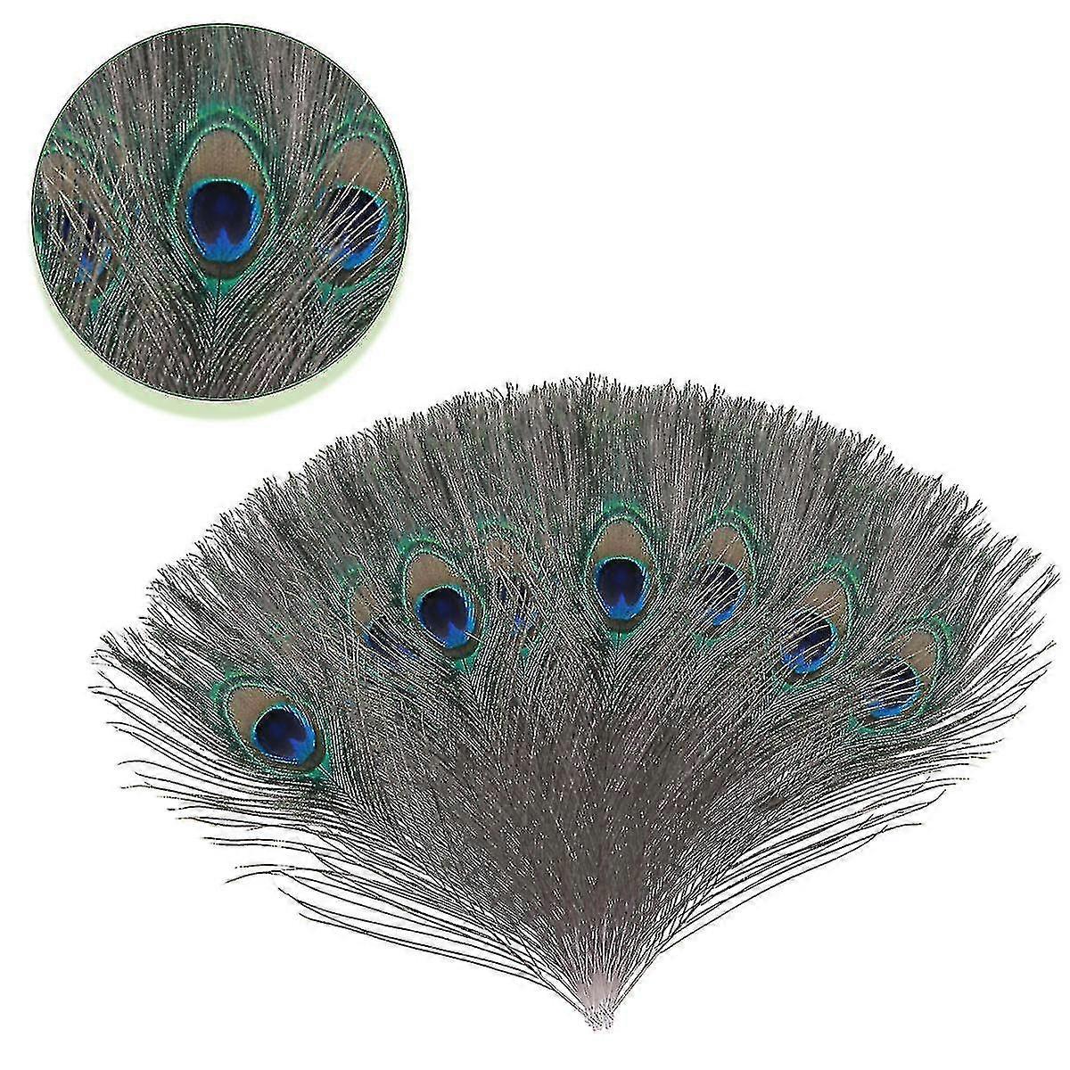 Natural Large Peacock Feathers For Decoration_Gift