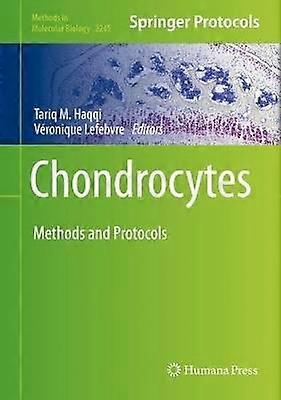 Chondrocytes