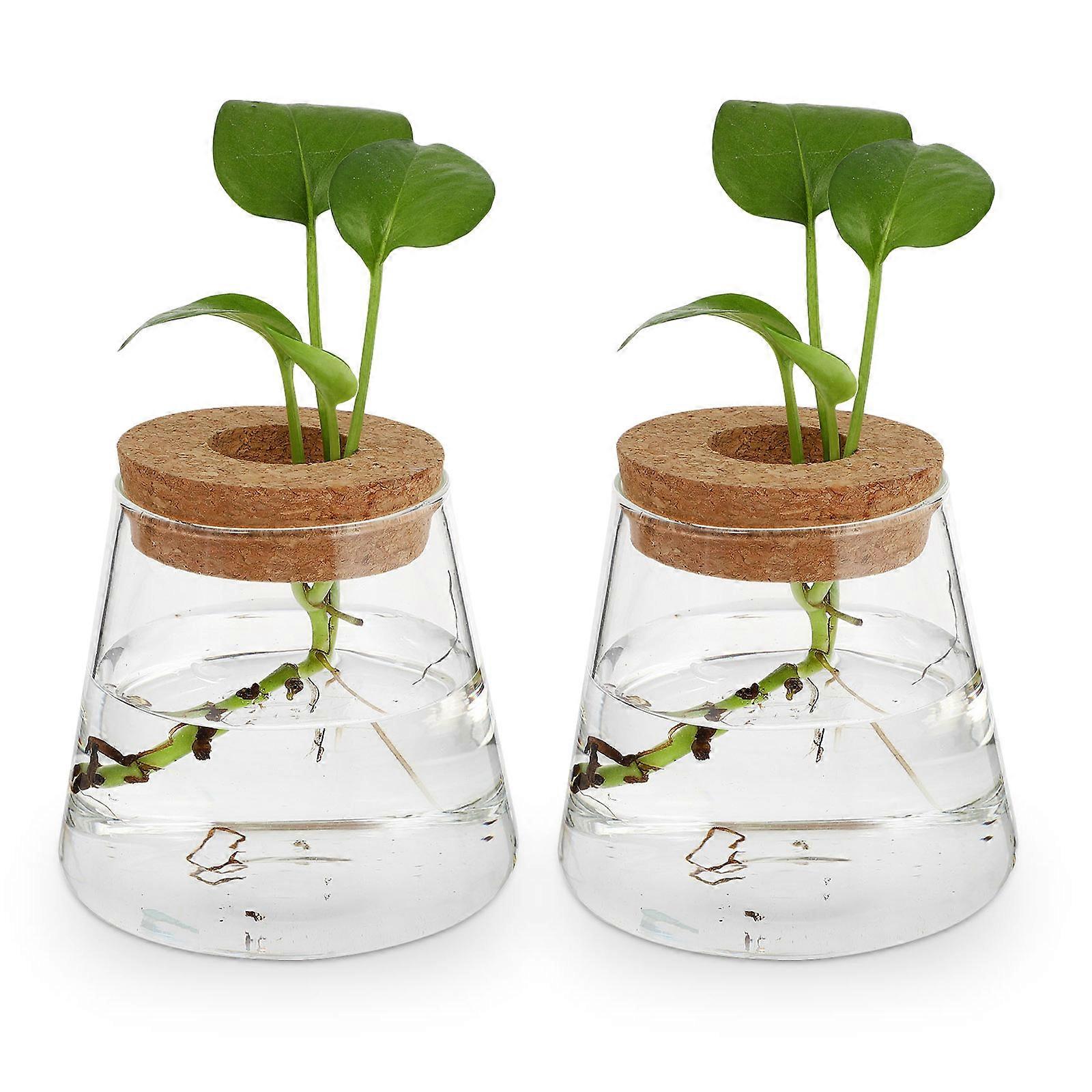 Plant Lover's Glass Vase with Simple Design, Adds Charm to Your Home