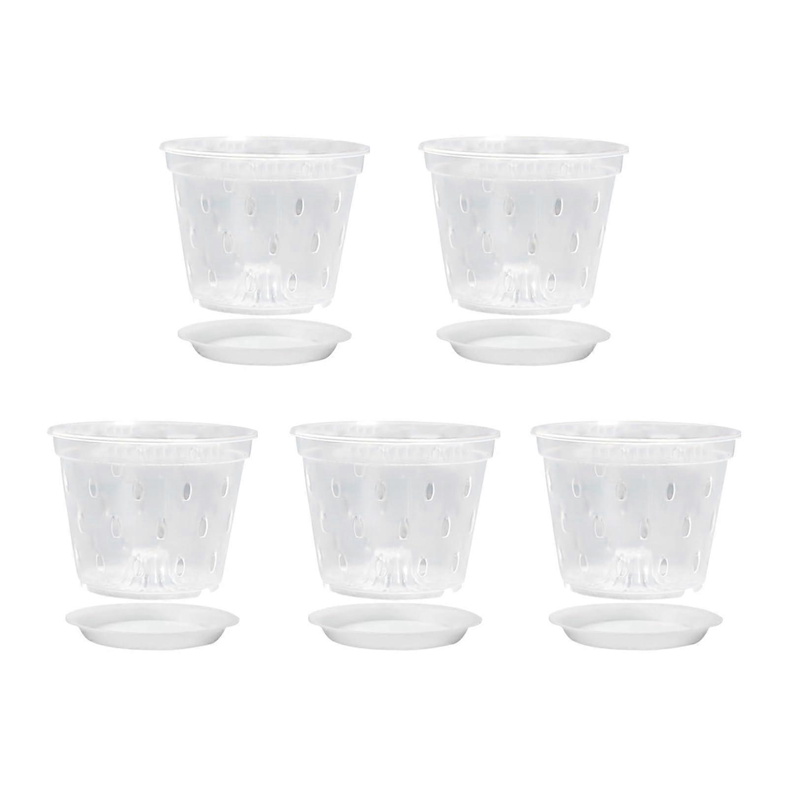 Seedling Cups Transparent Plastic For Plants, Succulents, Orchids, Cuttings, Transplanting, Easy Root Viewing