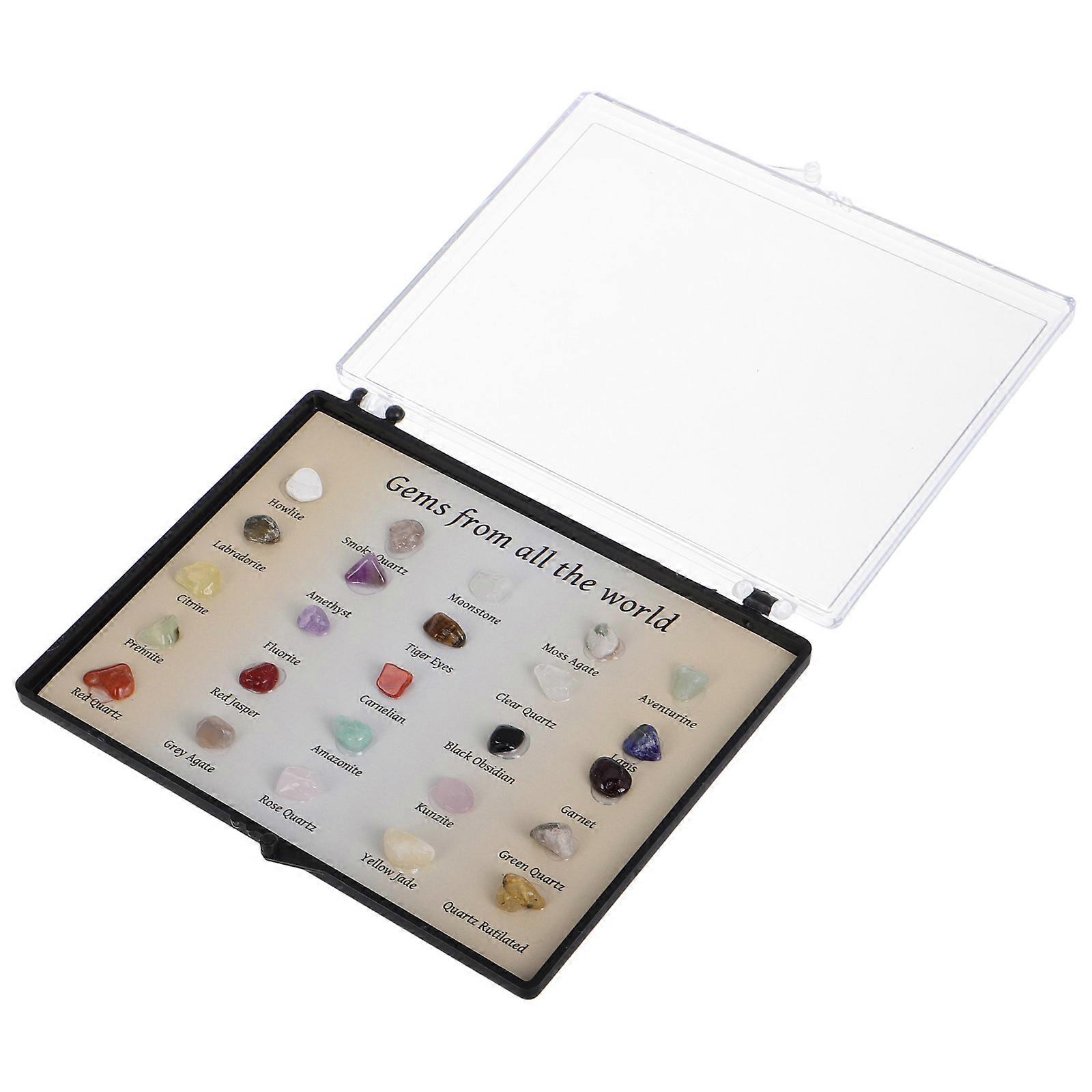 Rock Collection Box Set Durable Transparent Storage for Specimens, Mini Crystals, Gemstones Display in Geology Education & Home Decor