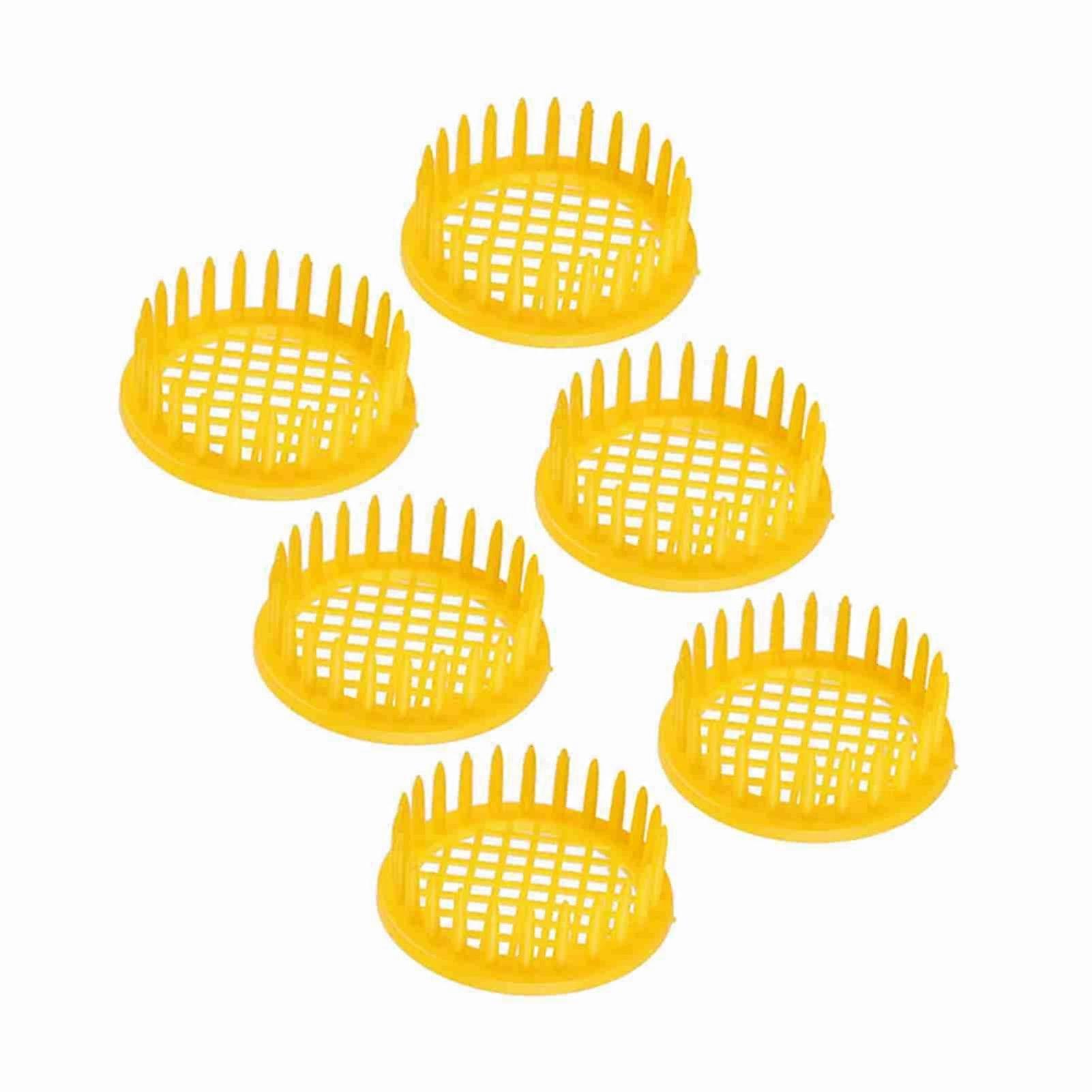 Beekeeping Equipment 6 PC PC Queens No Only for Beekeepers