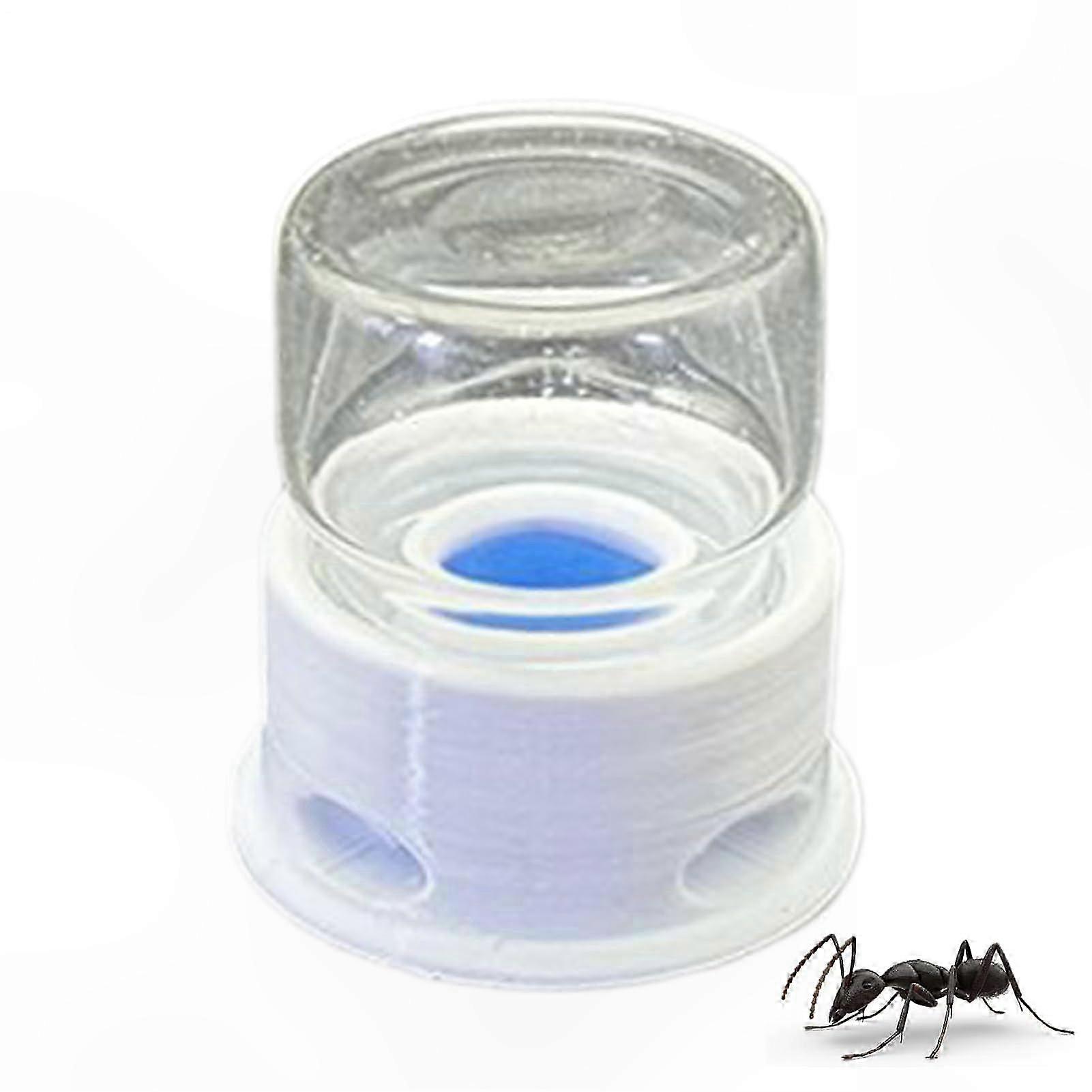 Transparent Liquid Feeder for Ants and Crickets, Hydration Station for Home and Classroom Use