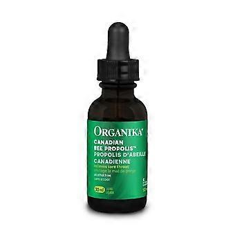 Organika vloeibare bijenpropolis, 30 ml