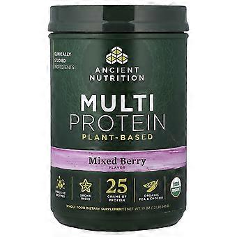Ancient Nutrition, Multi Protein, Plant Based, Mixed Berry, 1.2 lb (543 g)