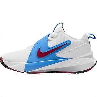 Nike Team Hustle D 12 Low top Basketball Shoes White Blue Red Unisex HF6279-102