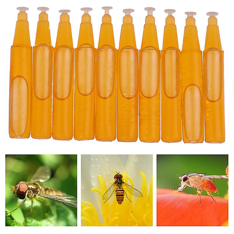 10pcs Fruit Fly Attractant 2ml Trap Bait Beekeeping Beehive Tool Killer Swarm