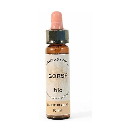 Organic Bach flowers - Gorse 10 ml of floral elixir