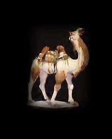 Silk Roads - Sue Brunning