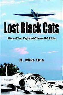 Lost Black Cats - H. Mike Hua